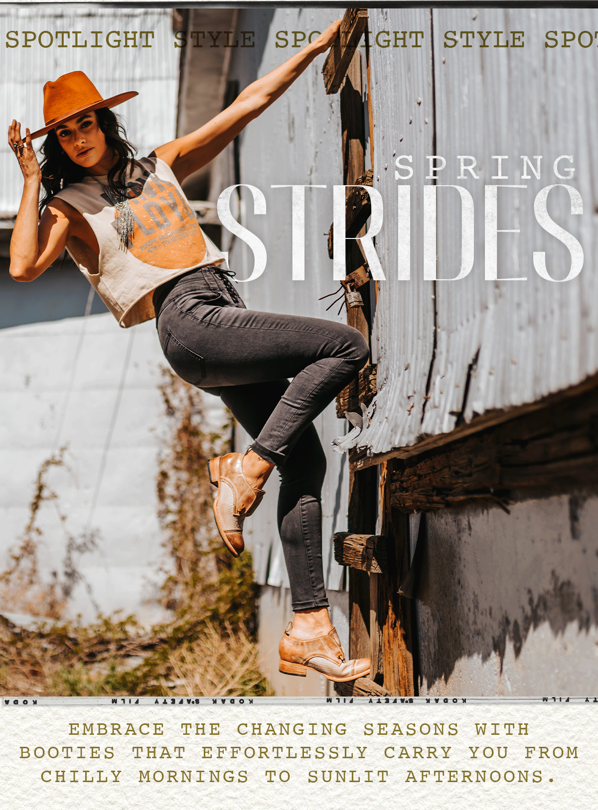 Pack Your Bags! Freebird Stores